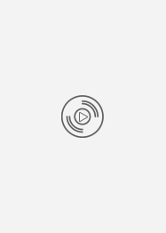 苏家有女1V5苏桐