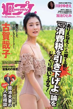 房子传