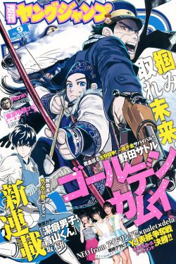 新奇士家族
